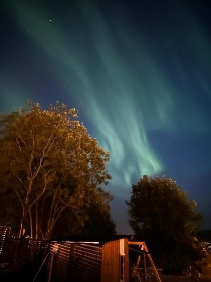 A Place For Aurora In Wintertime And Midnight Sun In Summer-Time! トロムソ エクステリア 写真